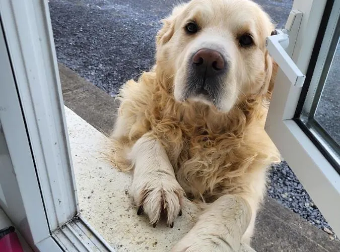 Connemara Luxury * Kinvara